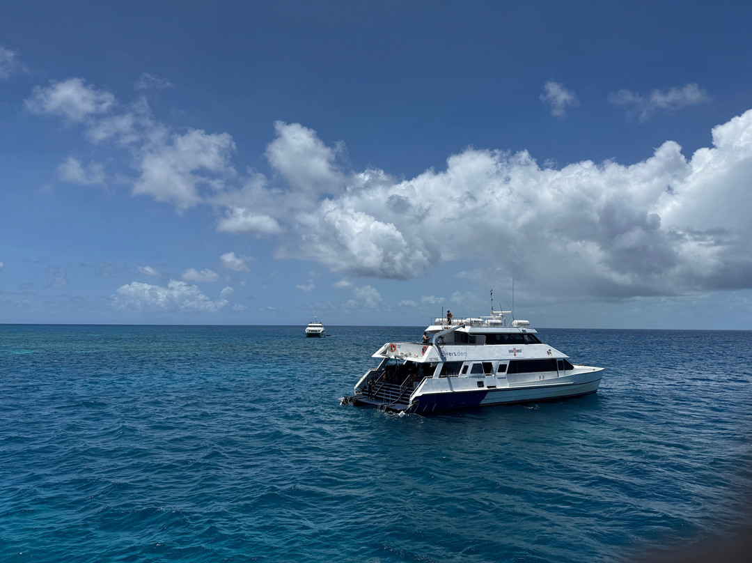 Reef Encounter-凯恩斯必去景点