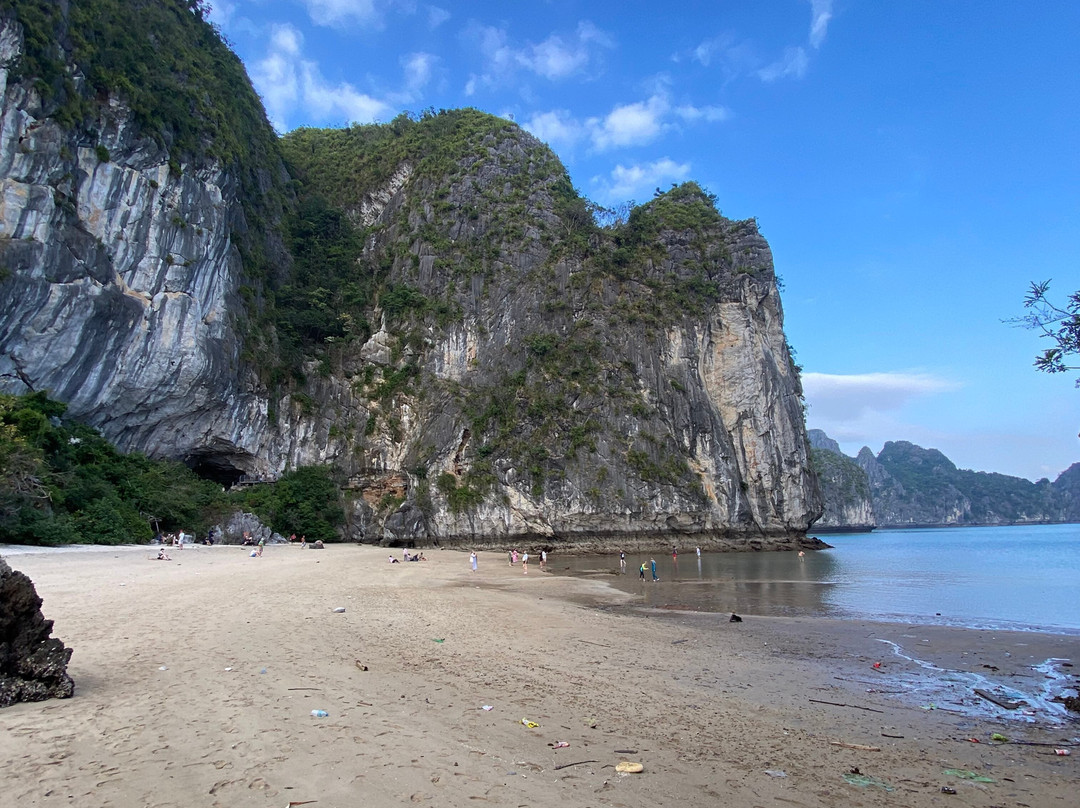 Bhaya Cruises-下龙湾必去景点