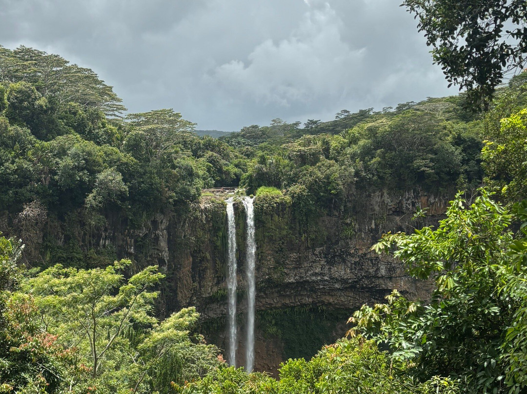 Sud Sauvage Adventure-Surinam必去景点