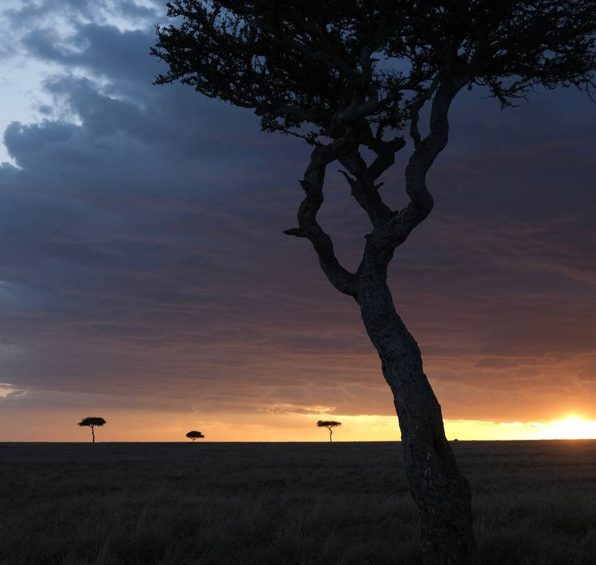 Mufasa Tours and Travels-内罗毕必去景点