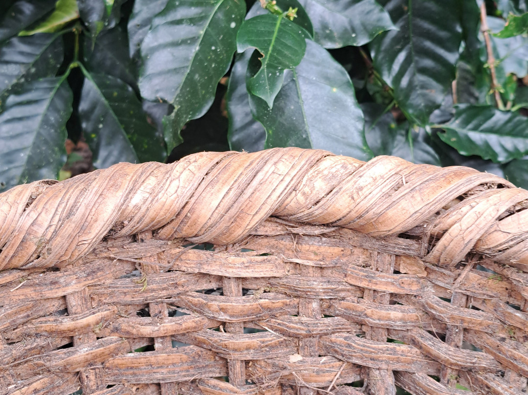 Peregrinus Expeditions-图里亚尔瓦必去景点