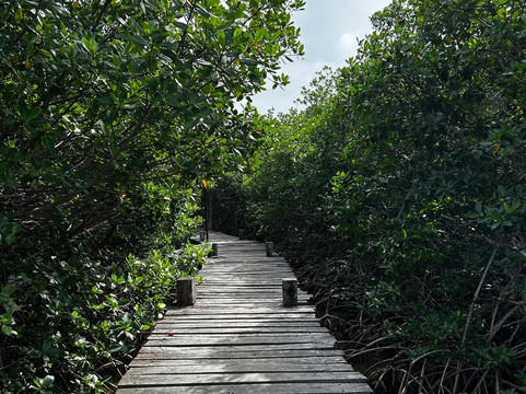 Pixan Ka'an-图伦必去景点