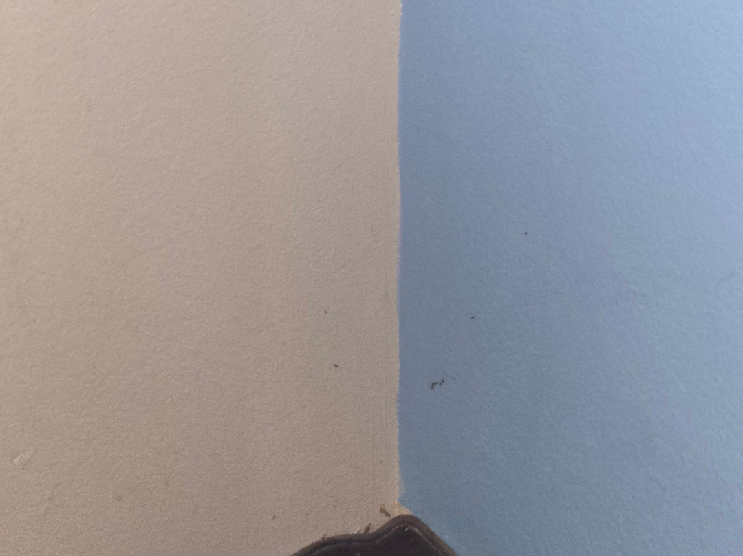 Country Inn & Suites by Radisson, Lubbock, TX主图