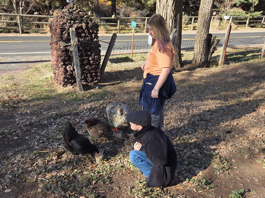 Petersen Rock Garden and Museum-雷德蒙德必去景点