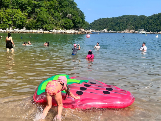 Bahía Maguey y el Órgano-瓦图尔科必去景点