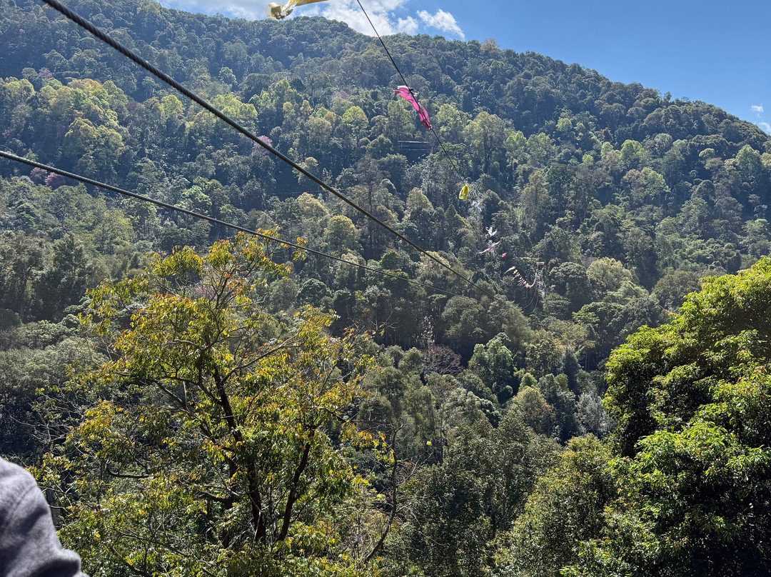 King Kong Smile Zipline-雷沙革必去景点