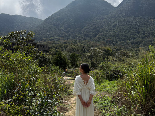 Rosewood Manor主图