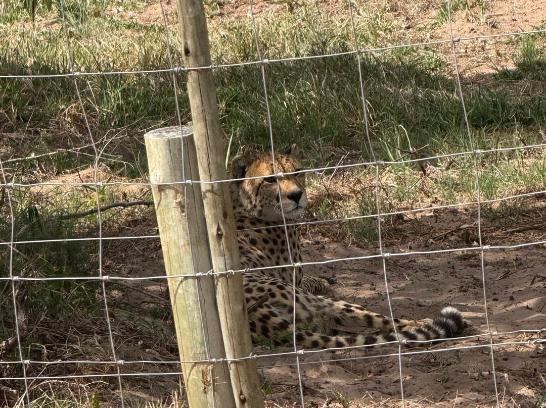 Kragga Kamma Game Park-伊丽莎白港必去景点