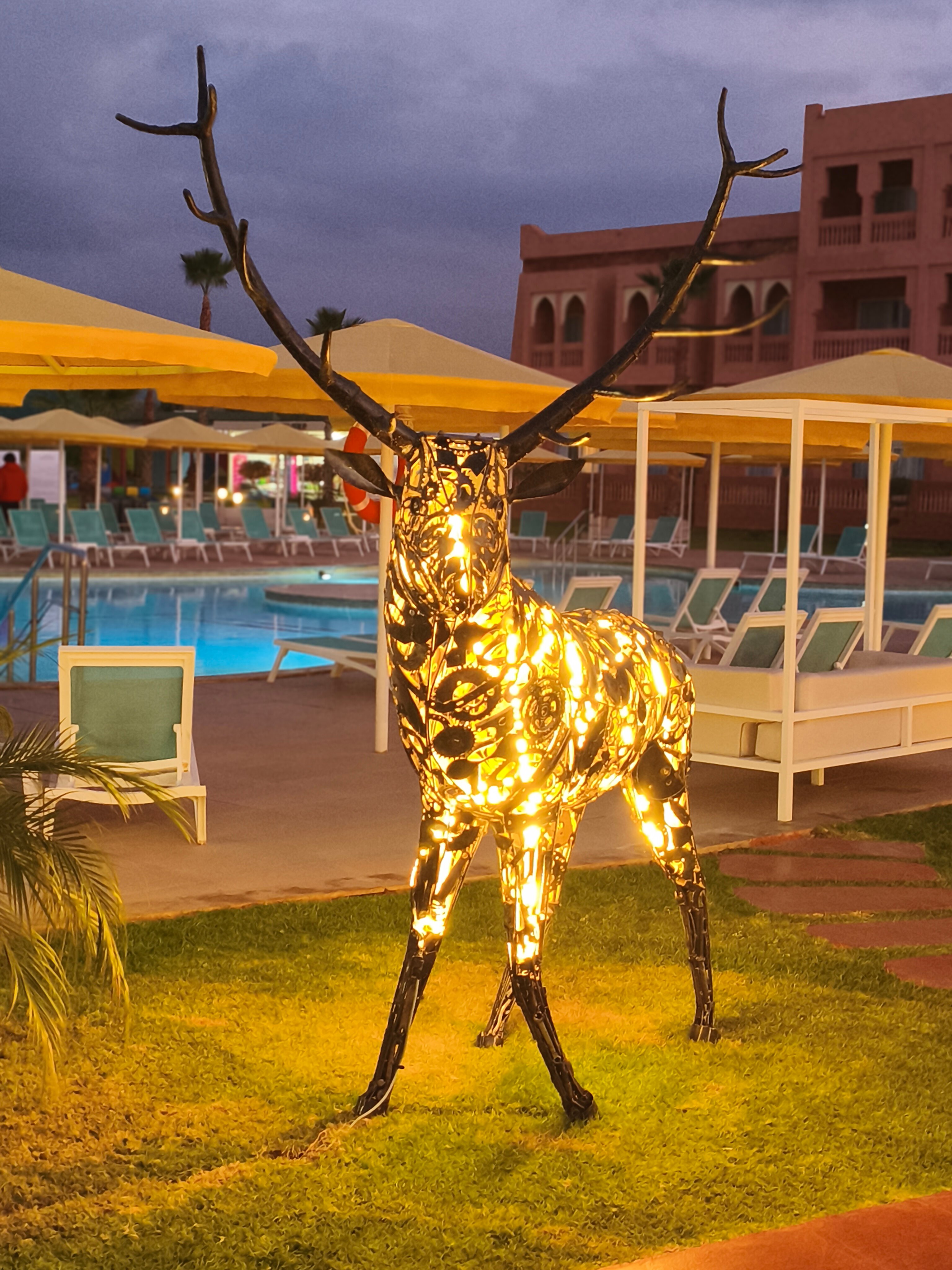 Pickalbatros Aqua Fun Club-官方