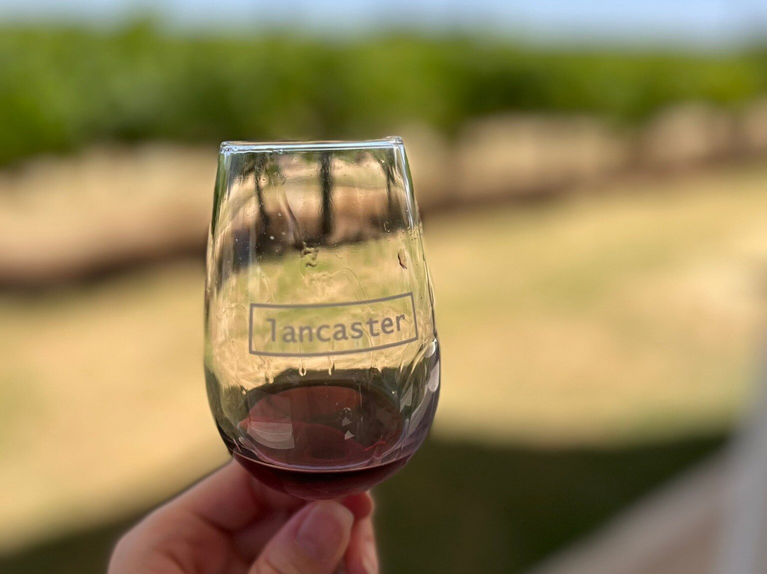 Lancaster Wines-West Swan必去景点