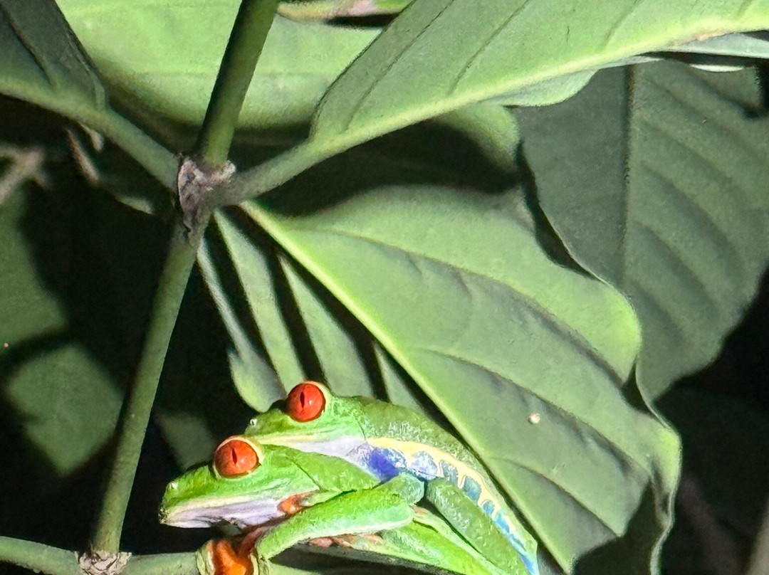 COSTA RICA TRAVELLING TOURS-圣何塞必去景点