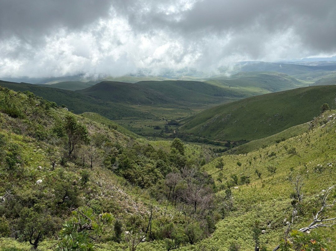 Mount Nyangani-尼扬加必去景点
