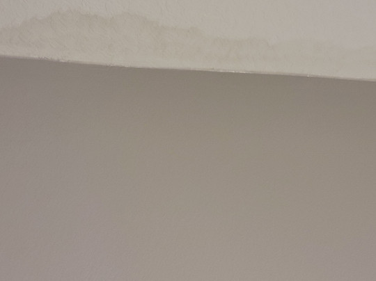 Staybridge Suites Gainesville I-75 by IHG主图