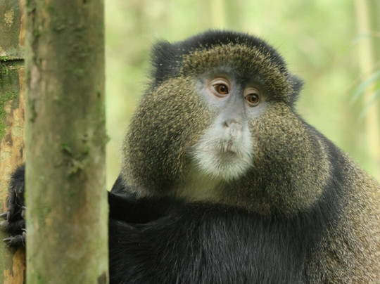 Eco Adventure Safaris-恩德培必去景点