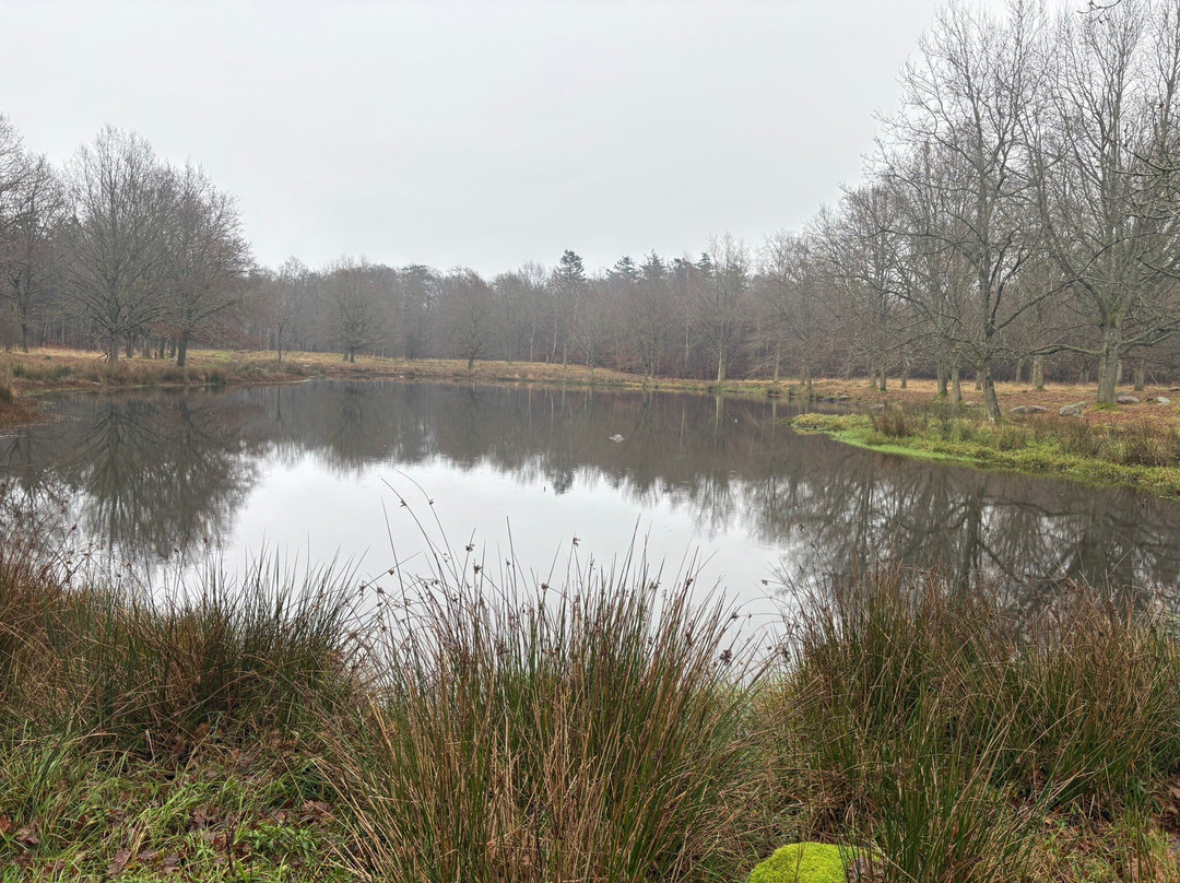 Ulkerup Landsby-Nykoebing必去景点