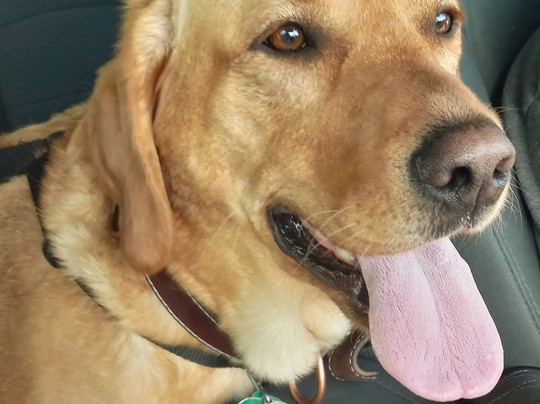 La Quinta Inn & Suites by Wyndham Cincinnati Airpt Florence主图