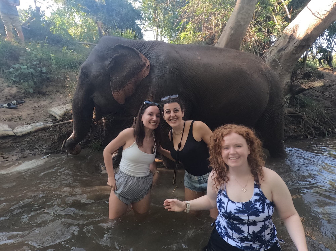 Elephant Sanctuary Care Park-清迈必去景点