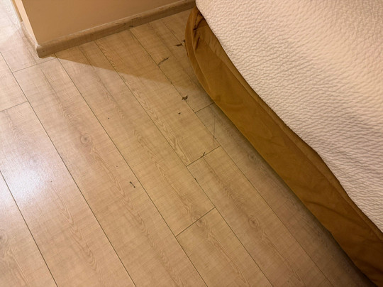 Fairfield by Marriott Inn & Suites Queretaro Juriquilla主图