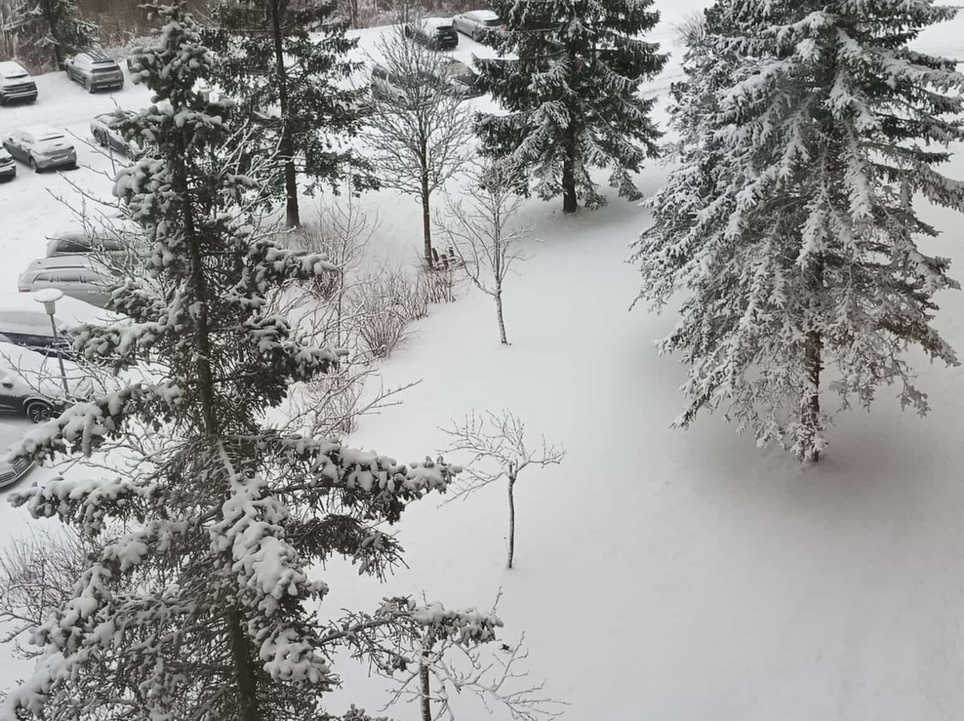 Ringberg Hotel主图