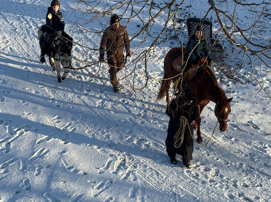 Ederbauer am Irrsee主图