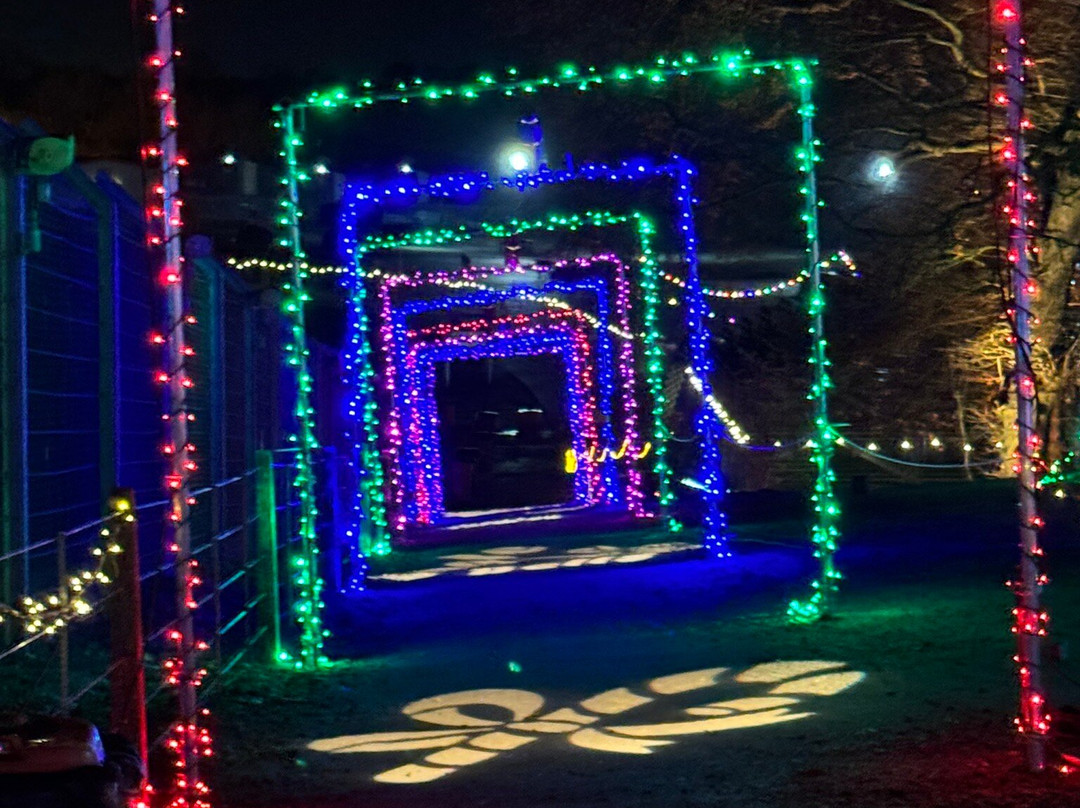 Brands Hatch-West Kingsdown必去景点