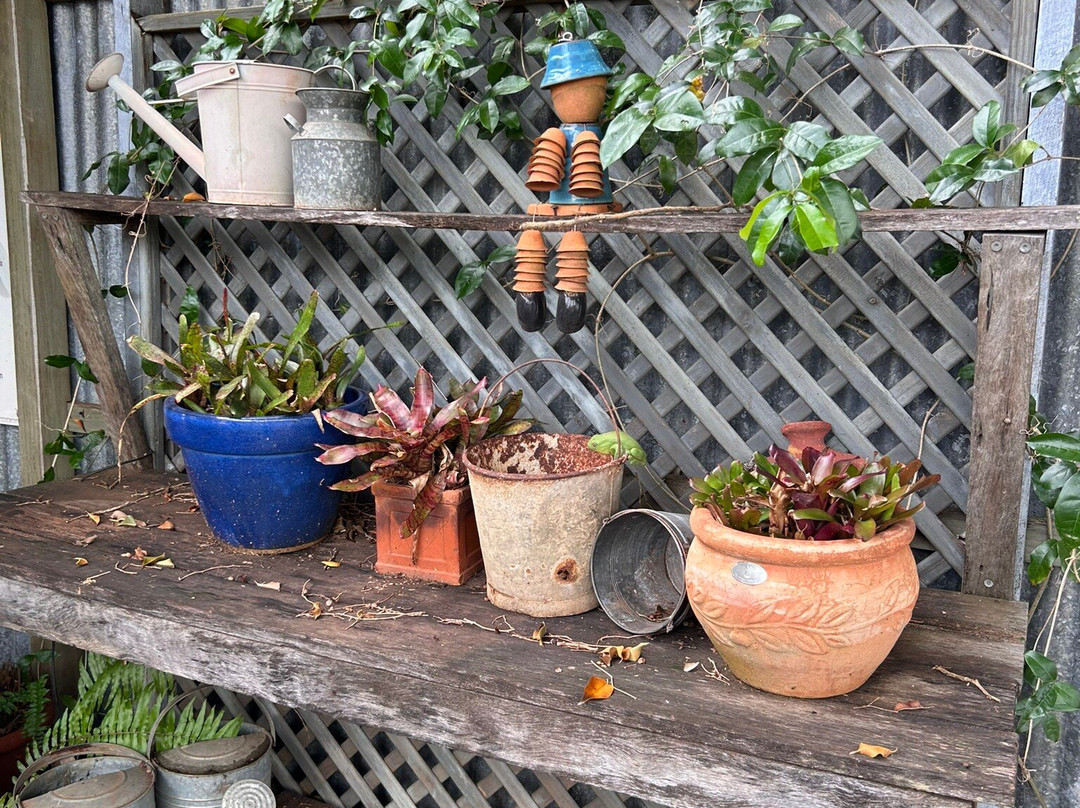 Amandine Lavender-Bargara必去景点