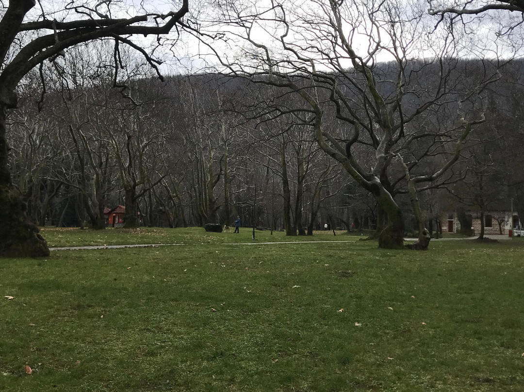 Nisi Margaritas Hotel主图