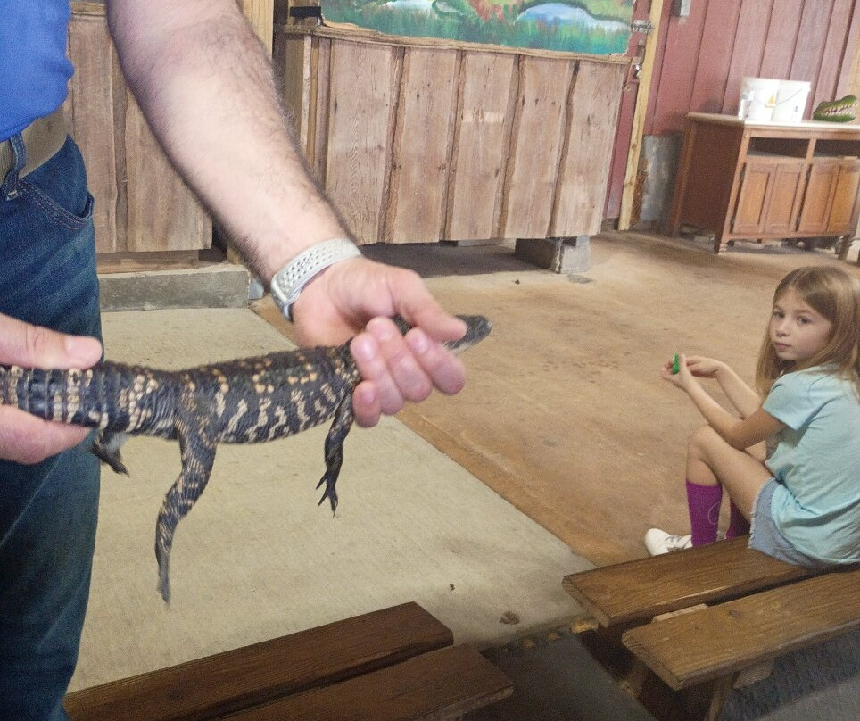 Insta-Gator Ranch & Hatchery-卡温顿必去景点