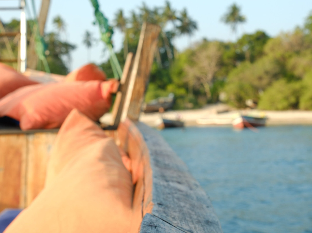 Nomadic Sails-Wasini Island必去景点