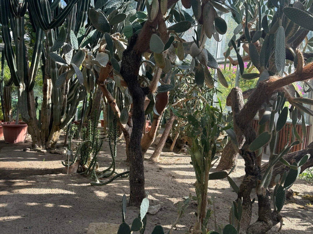 Botanical Garden of the University of Szeged-塞格德必去景点