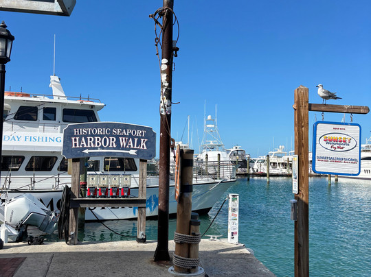 Pirate Scooter Rentals-基韦斯特必去景点