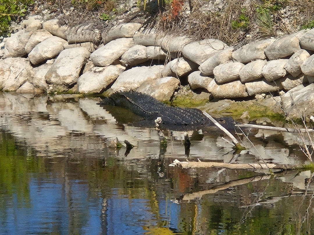 Wooten's Everglades Airboat Tour-奥乔皮必去景点