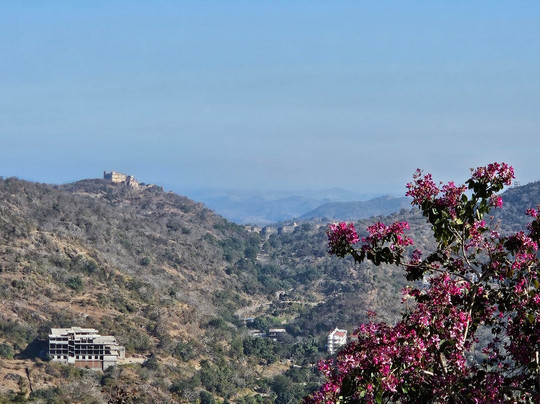 Fateh Safari Suites By Fateh Collection主图