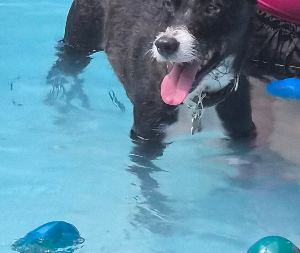 Pousada Portal do Cacau主图