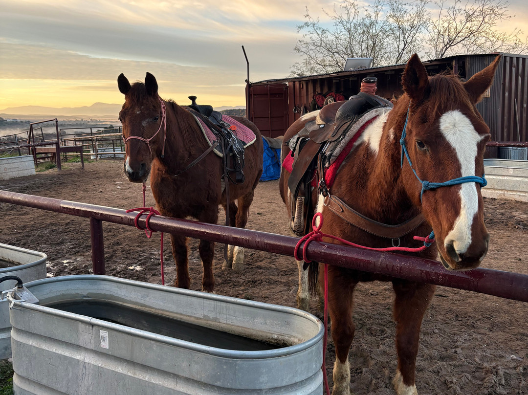 Horsin Around Riding Ranch-Marmora必去景点