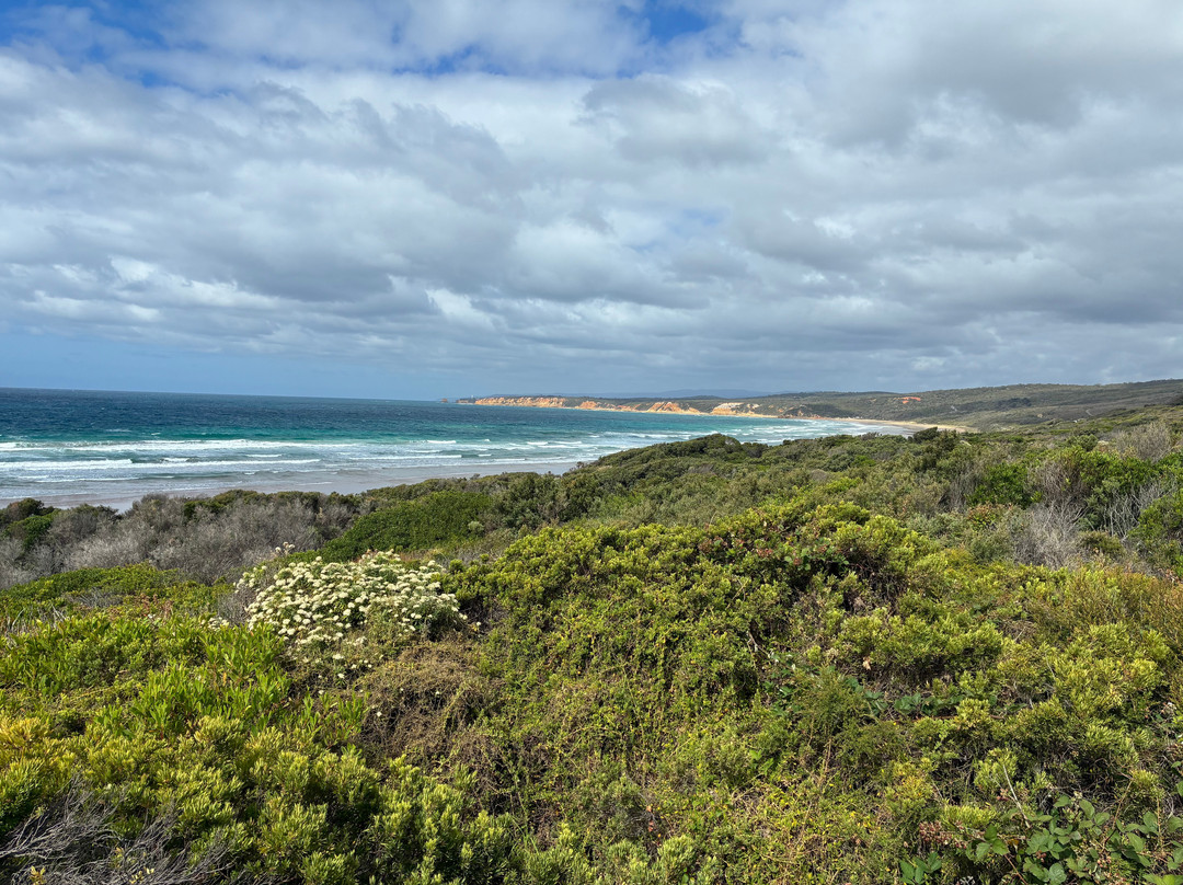 Loveridge Lookout-安格尔西岛必去景点