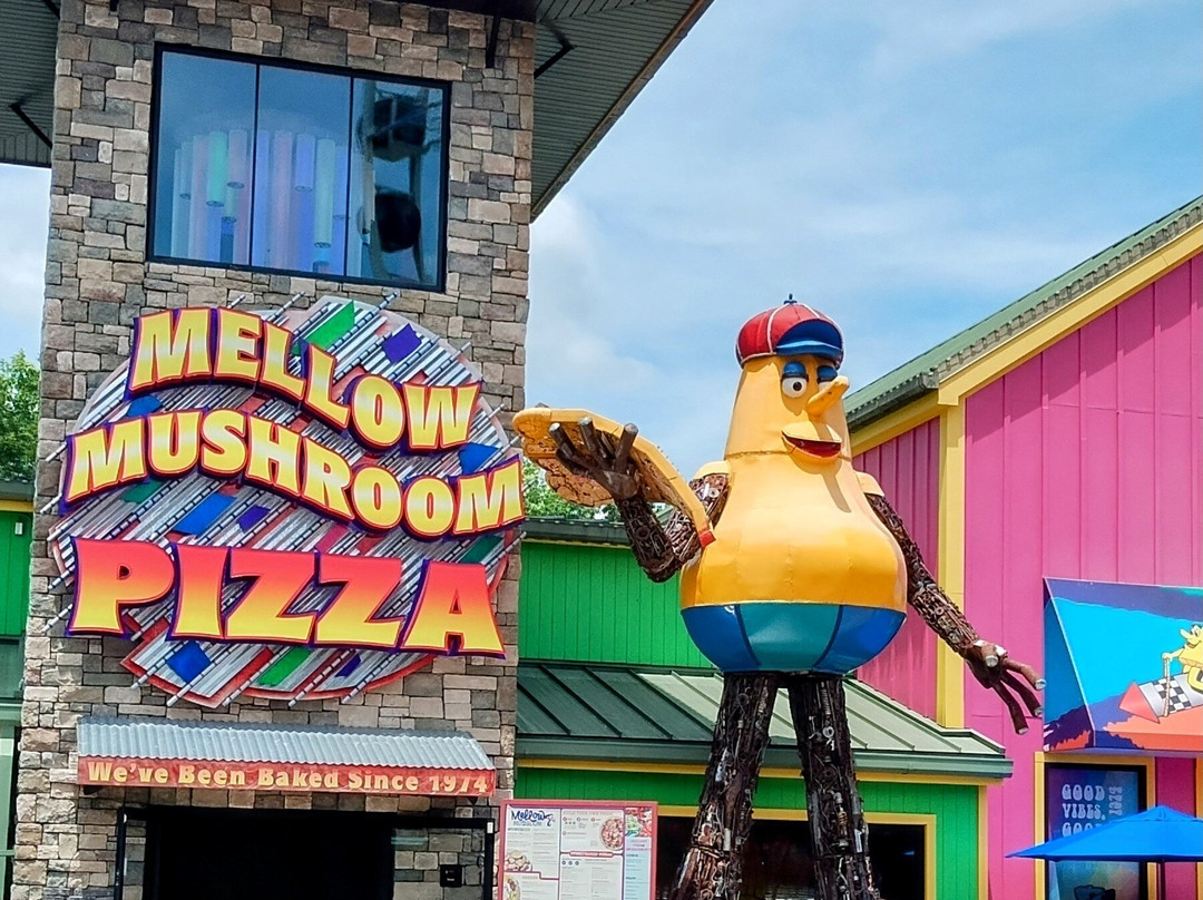 The Island in Pigeon Forge-皮金福奇必去景点