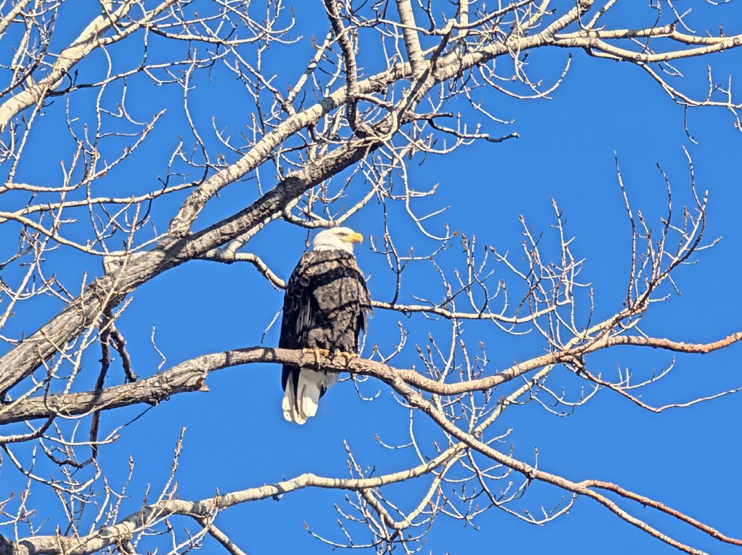 Loess Bluffs National Wildlife Refuge-Mound City必去景点