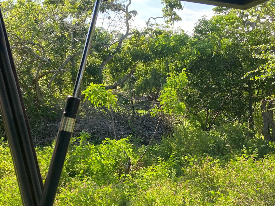 Yala Lahiru Safari-蒂瑟默哈拉默必去景点