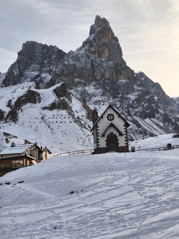 Hotel Alpenrose-酒店景观