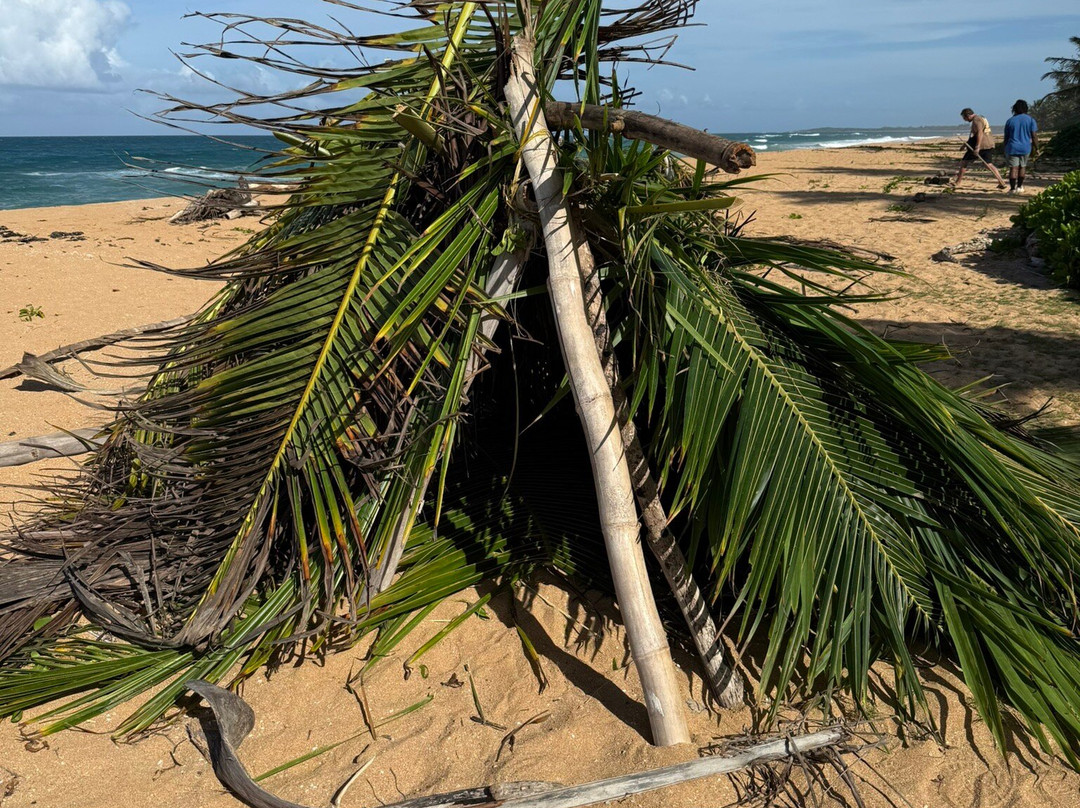 Coconut Revolution 101-圣胡安必去景点