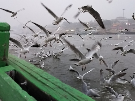 Assi Ghat-瓦拉纳西必去景点