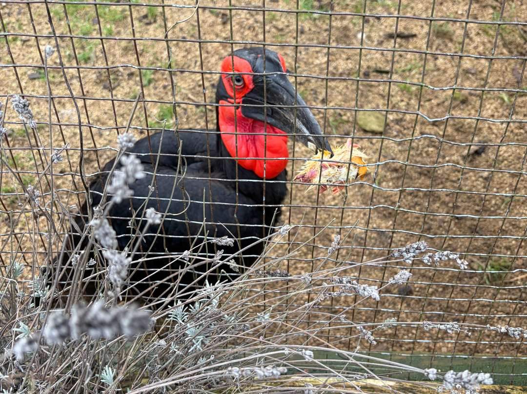 鸟园-水上伯顿必去景点