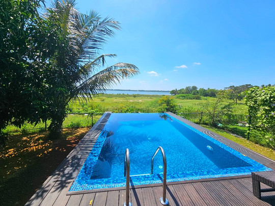 Blue Wild - Yala主图