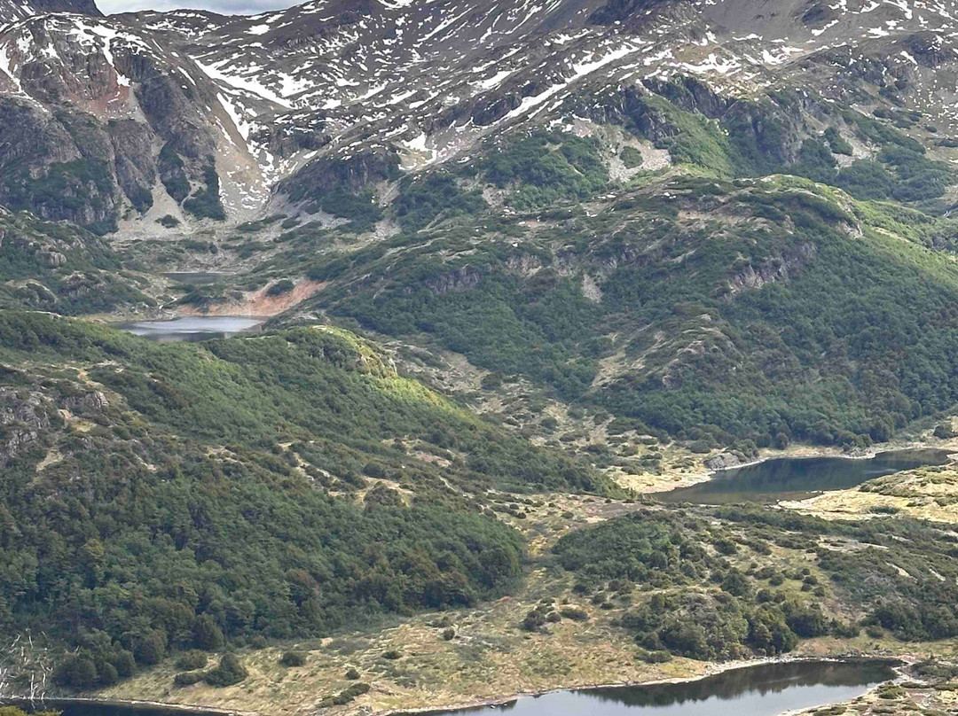 Explora Isla Navarino-Puerto Williams必去景点