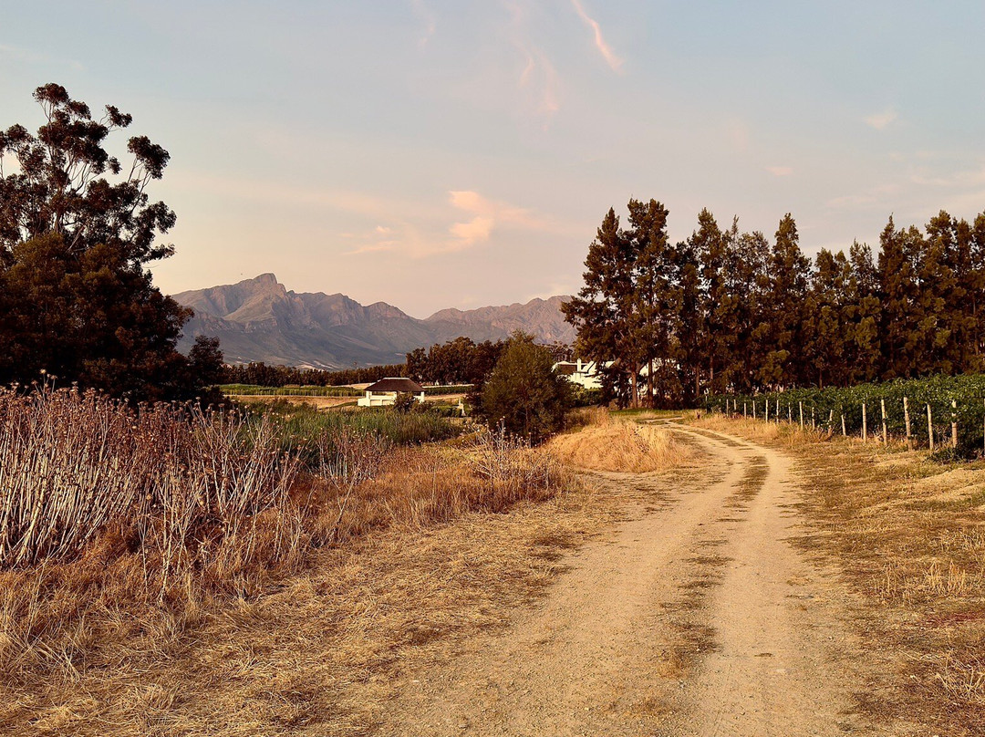 曼利葡萄酒小屋主图