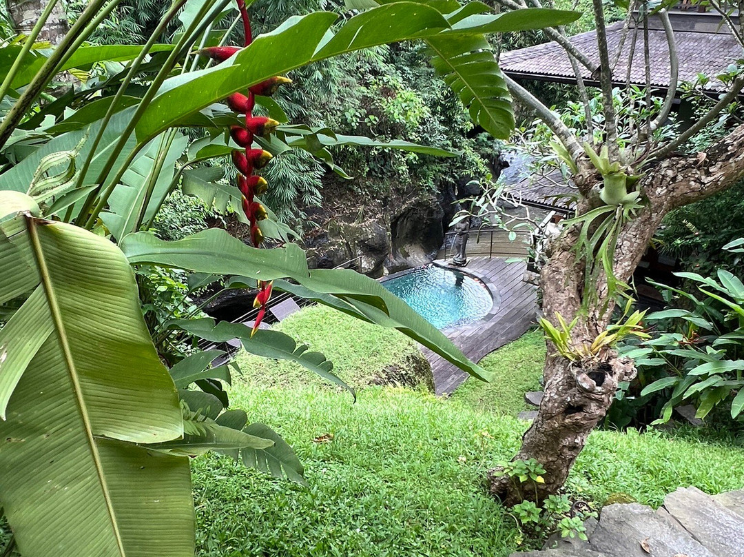 Lumina Wellness Retreat