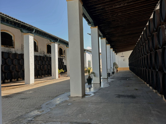 Bodegas Barbadillo-Sanlucar de Barrameda必去景点
