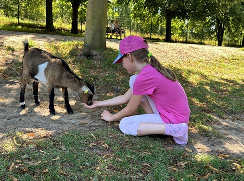 Tierpark Wismar-维斯马必去景点