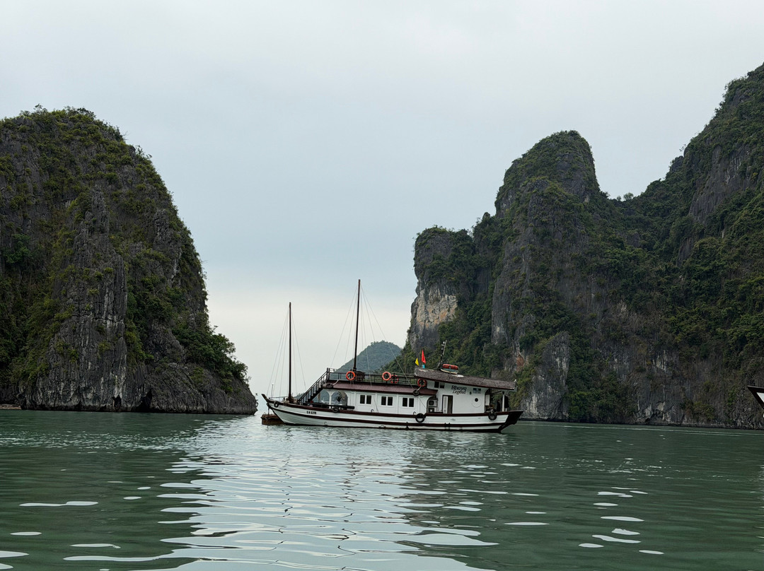 Bhaya Cruises-下龙湾必去景点